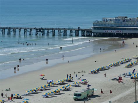 daytona beach hotels pets allowed.